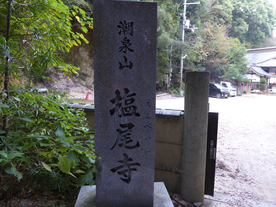 P1040715_mid.jpg