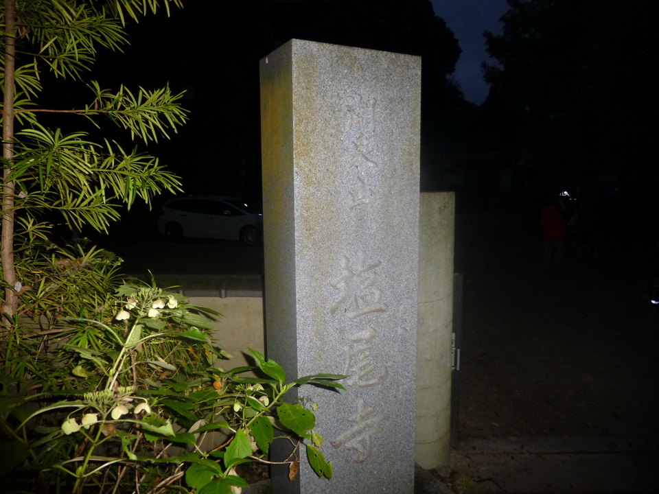 P1060375_mid.jpg