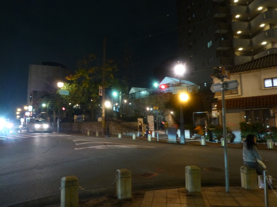 P1060381_mid.jpg