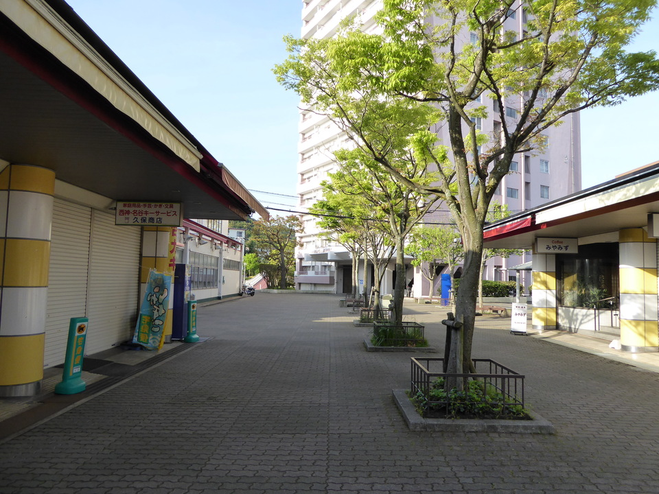 P1050479_mid.jpg