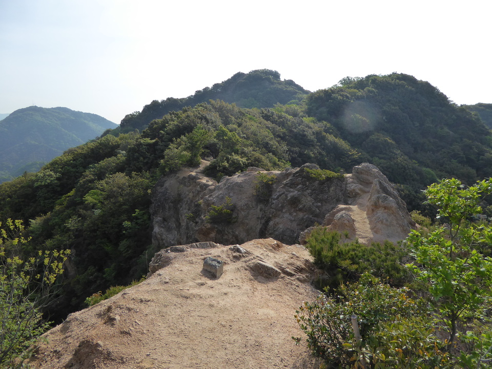 P1050517_mid.jpg