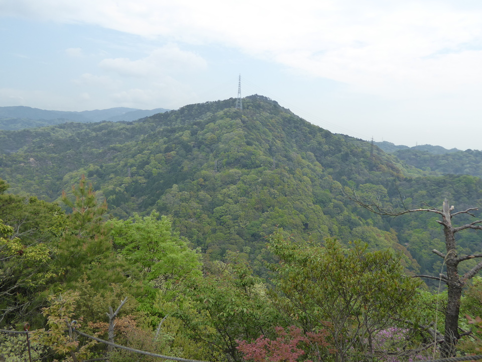 P1050548_mid.jpg