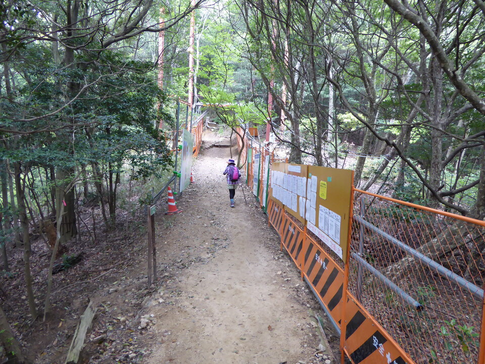 P1050558_mid.jpg