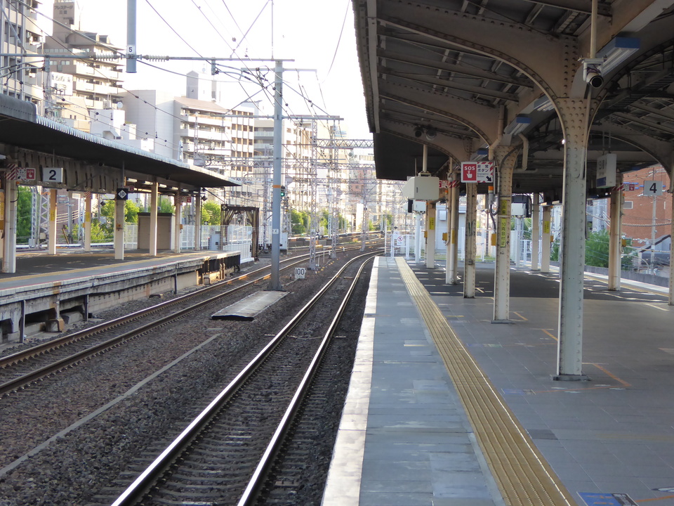 P1050577_mid.jpg