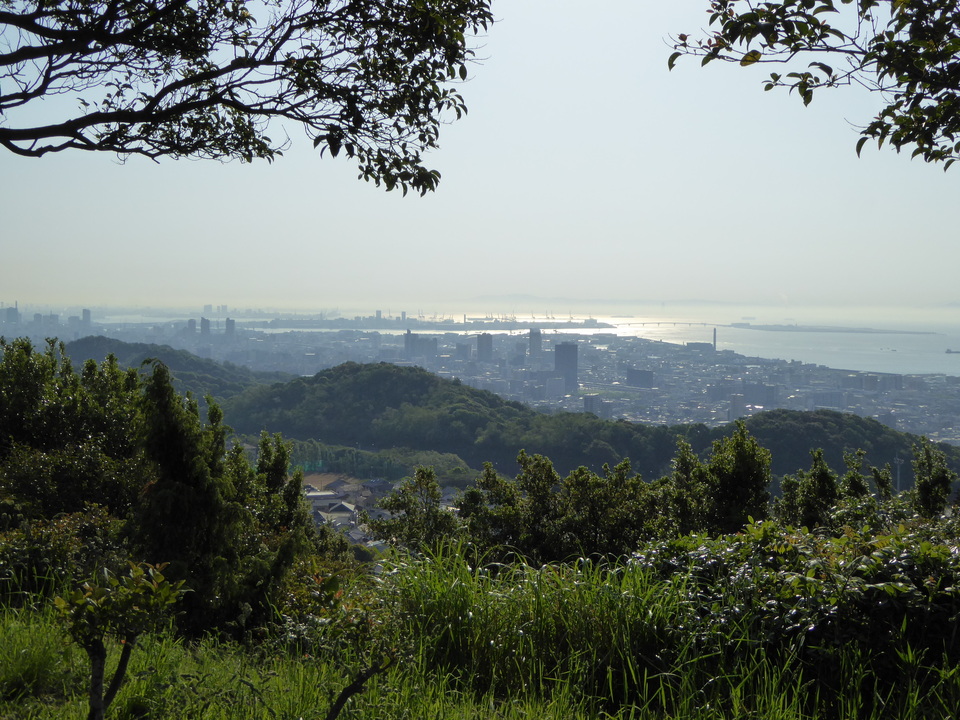 P1050594_mid.jpg