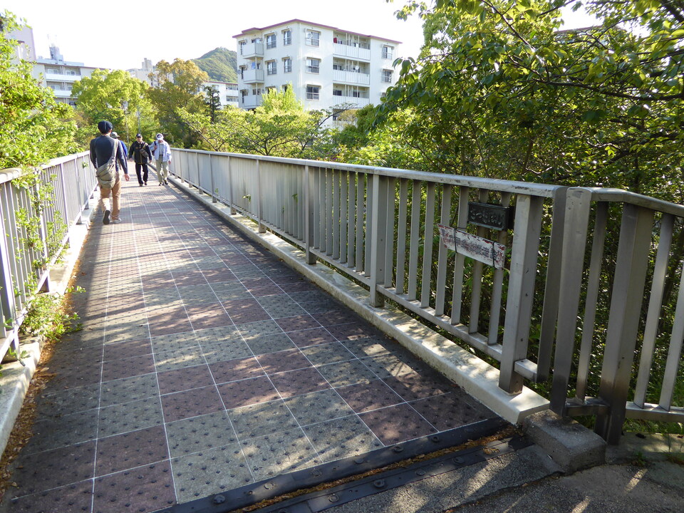 P1050596_mid.jpg
