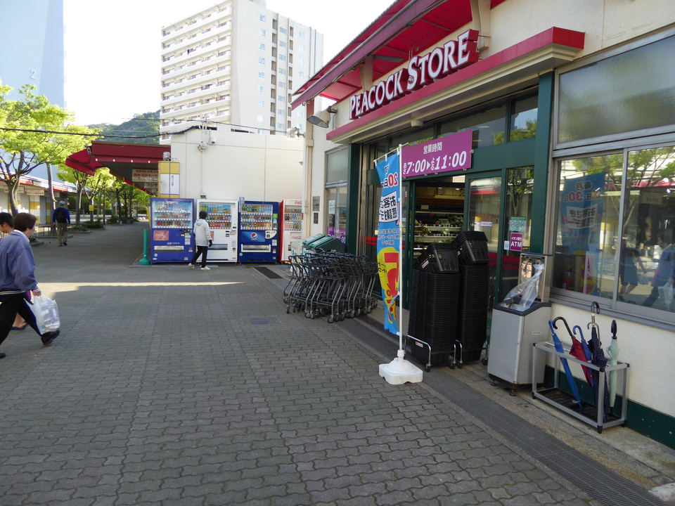 P1050597_mid.jpg