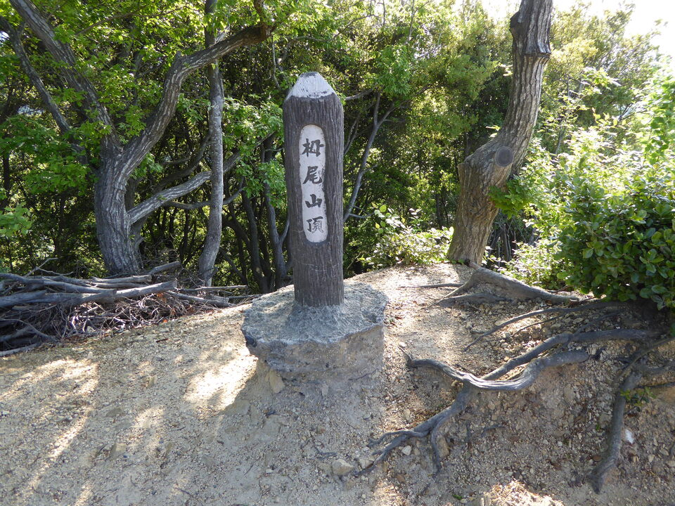 P1050607_mid.jpg