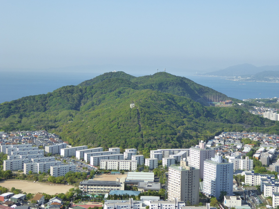 P1050610_mid.jpg