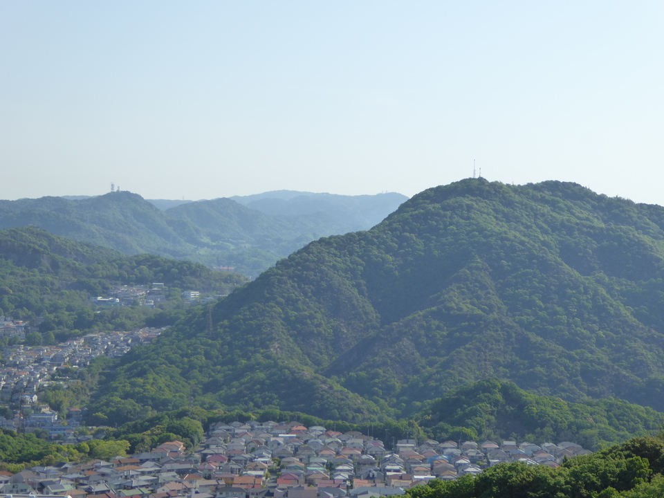 P1050619_mid.jpg