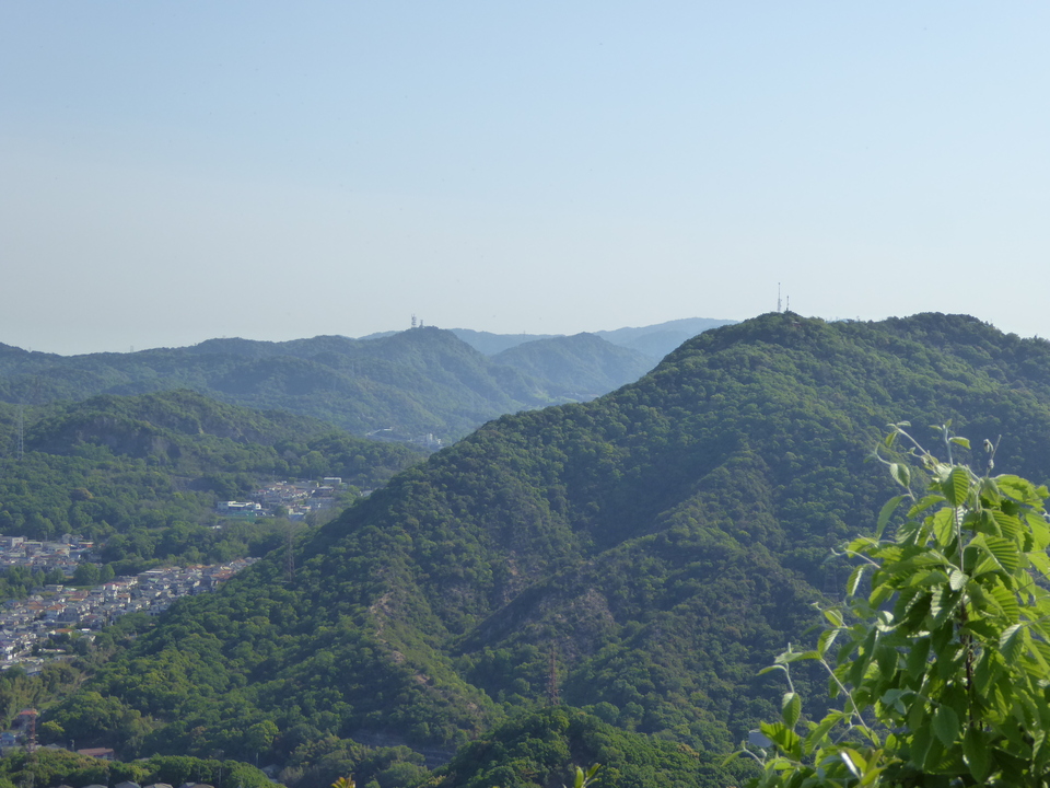 P1050629_mid.jpg
