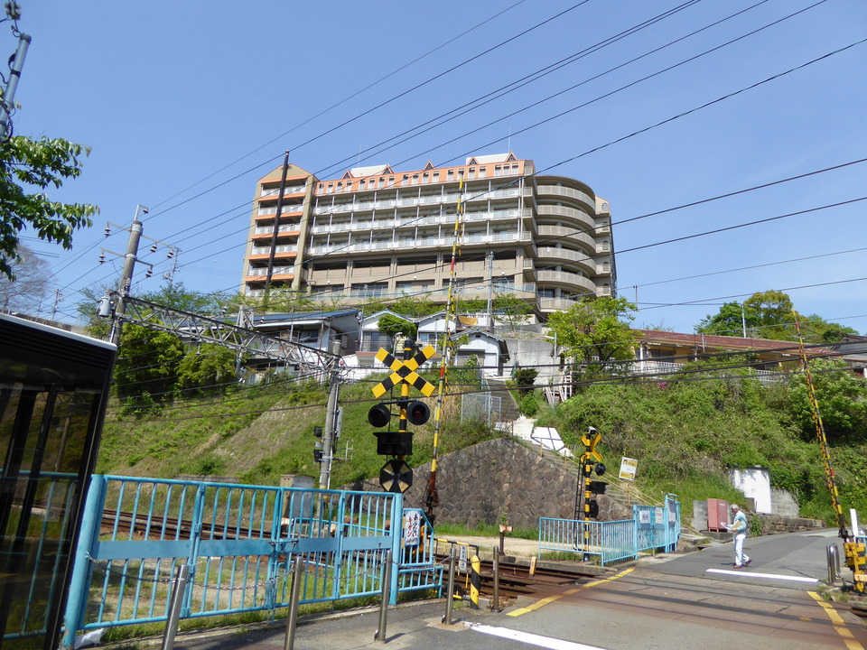 P1050641_mid.jpg