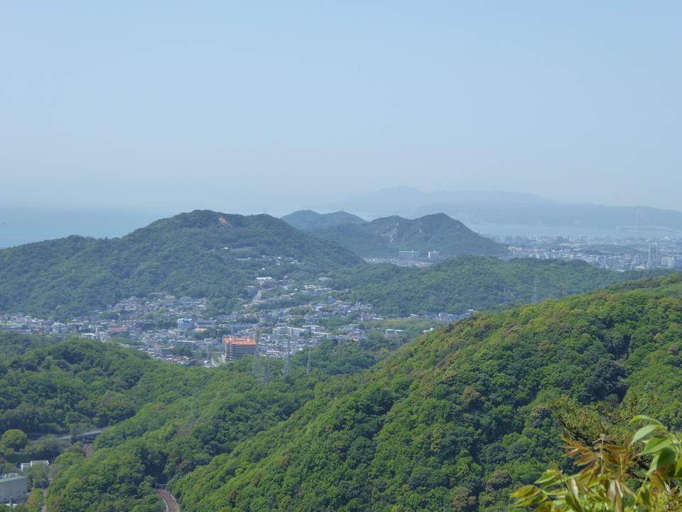 P1050645_mid.jpg