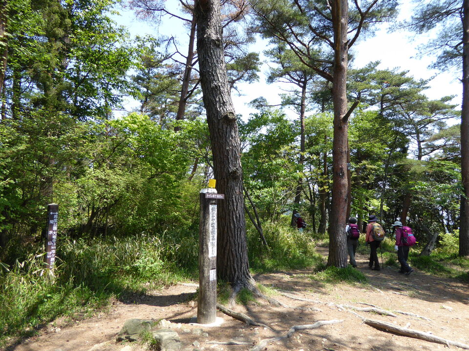 P1050652_mid.jpg