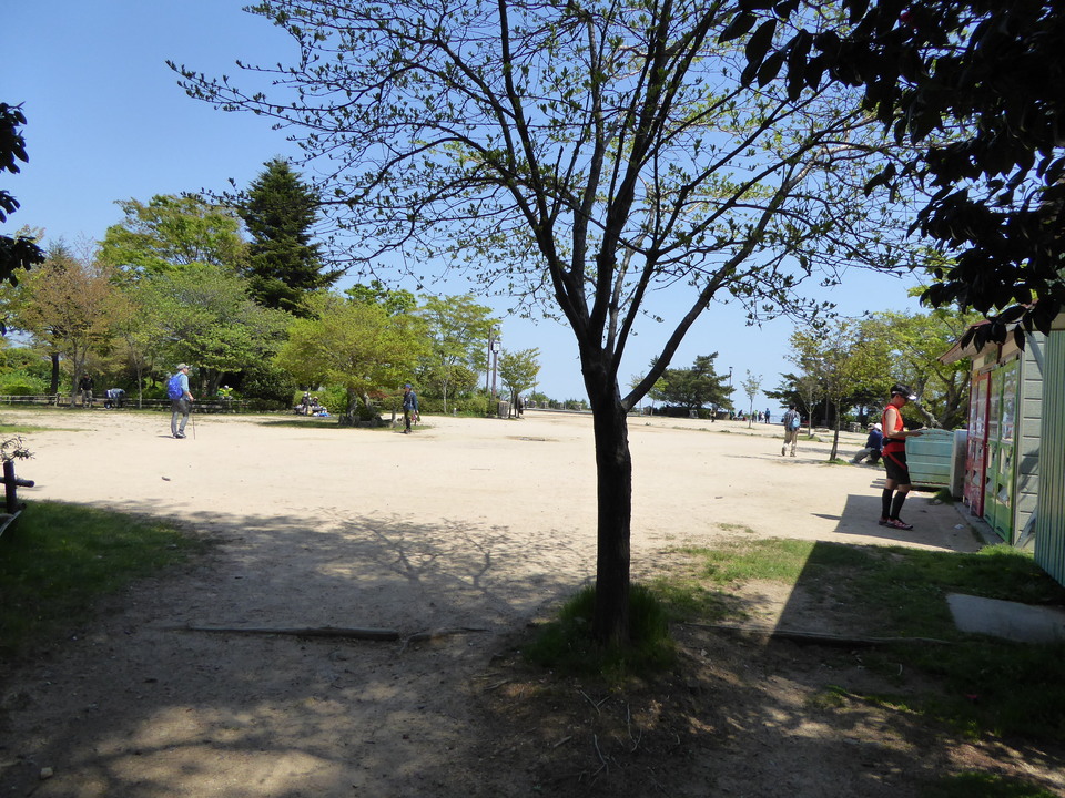 P1050661_mid.jpg