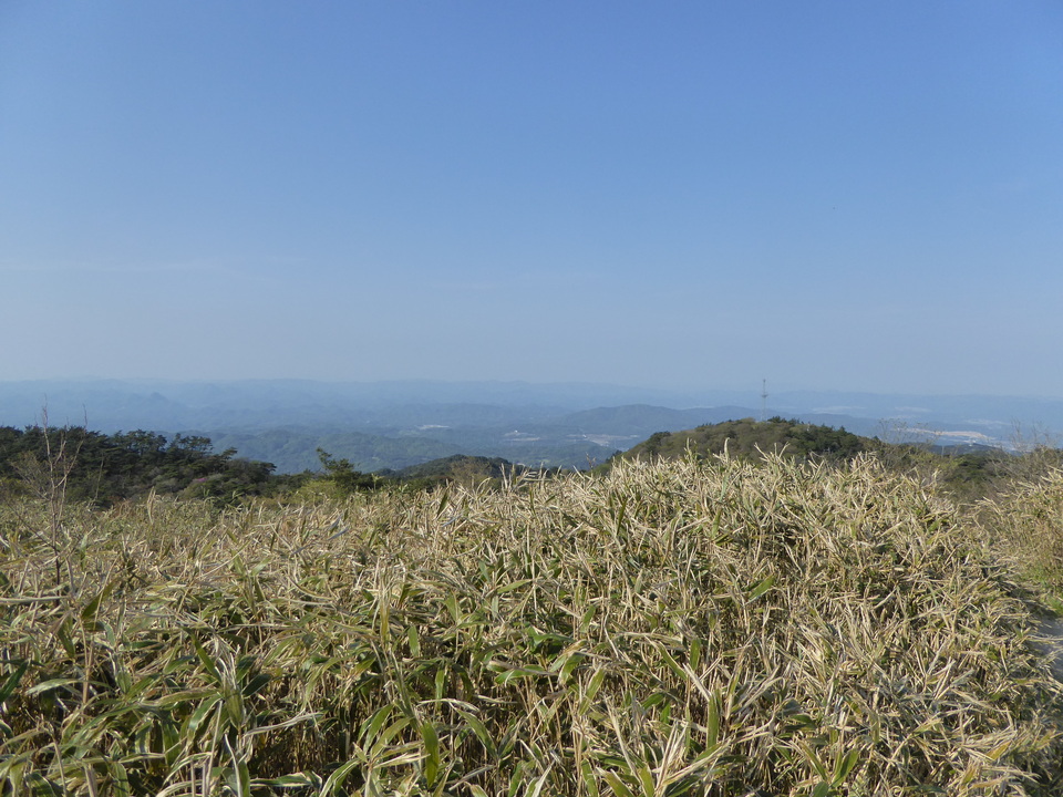 P1050673_mid.jpg