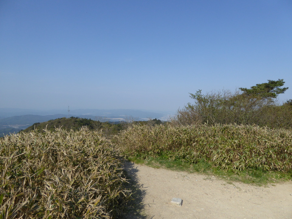 P1050674_mid.jpg