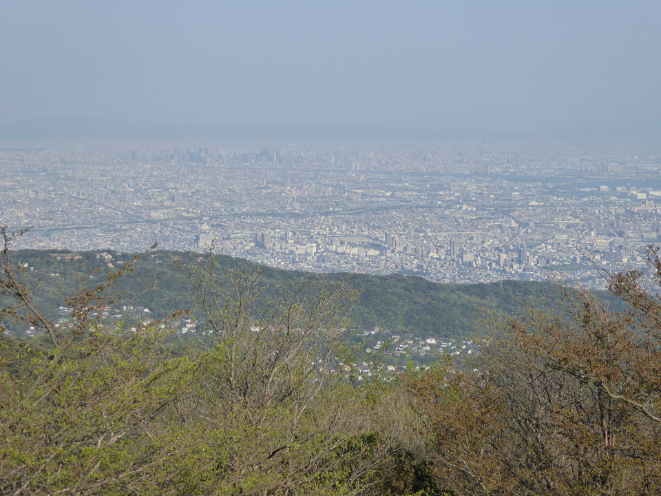 P1050675_mid.jpg