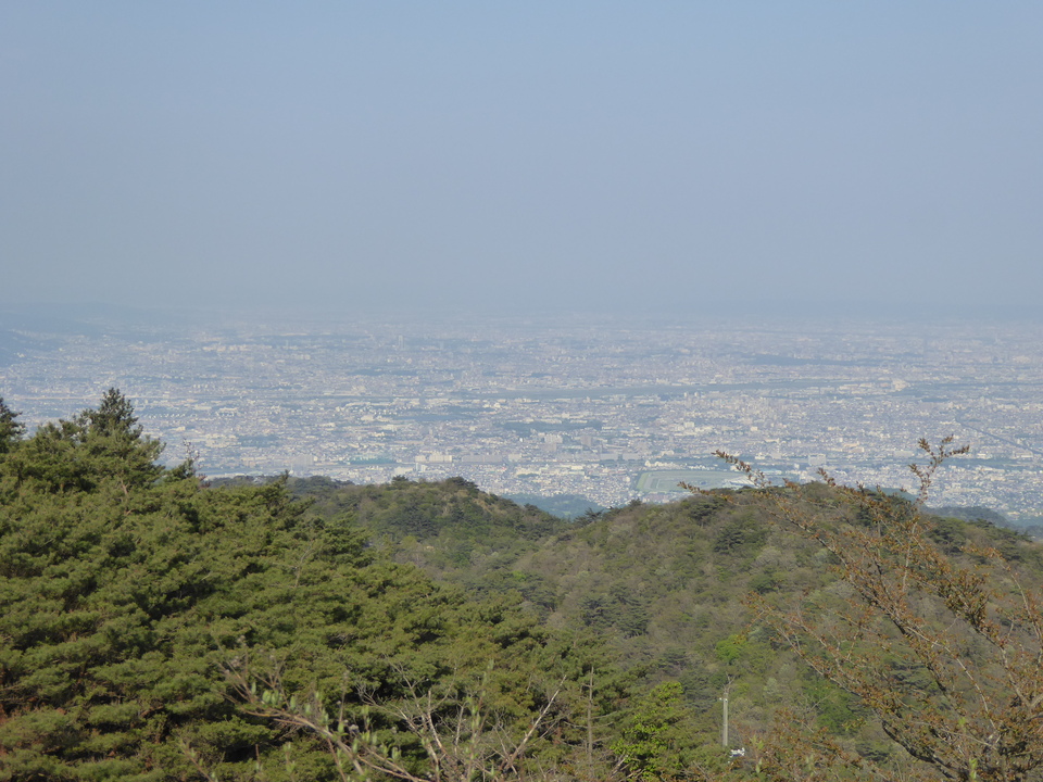 P1050676_mid.jpg