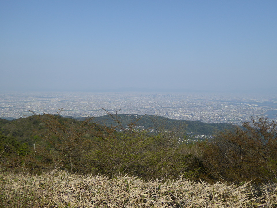 P1050677_mid.jpg