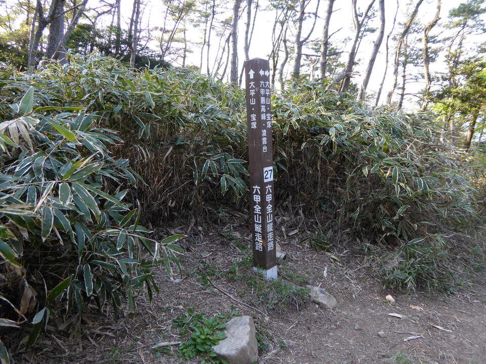 P1050680_mid.jpg