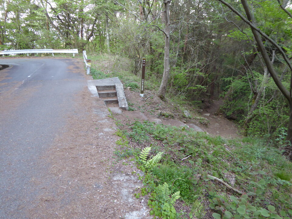 P1050685_mid.jpg