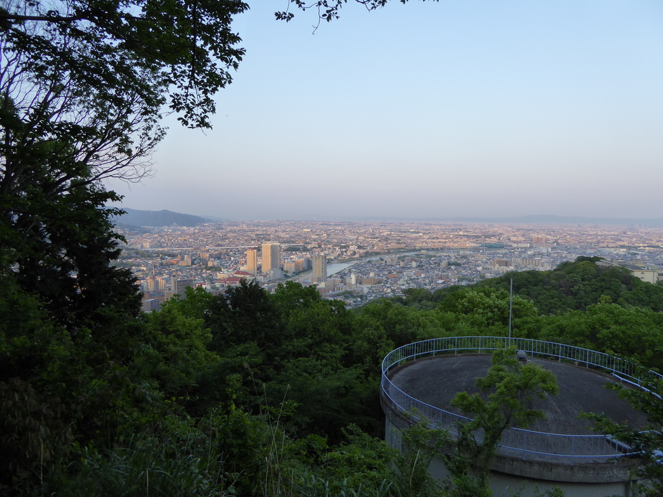 P1050689_mid.jpg