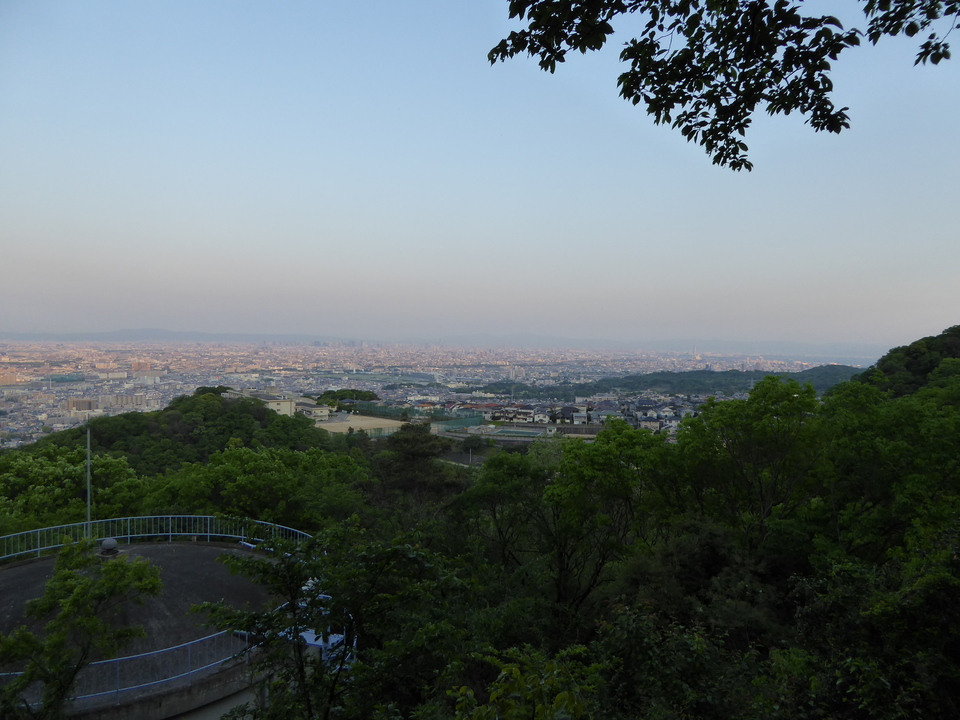P1050690_mid.jpg