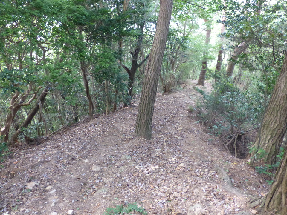 P1070885_mid.jpg