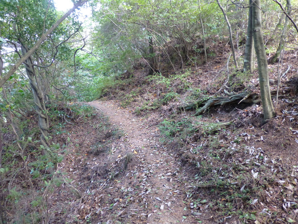 P1070895_mid.jpg