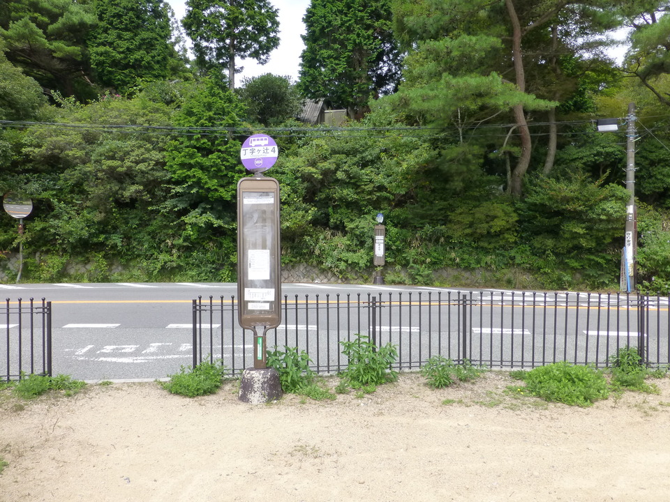 P1070951_mid.jpg