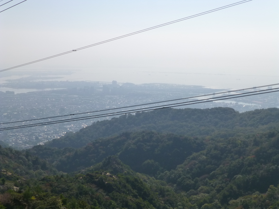 P1080806_mid.jpg