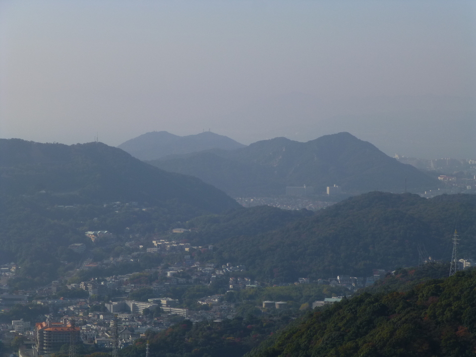P1080868_mid.jpg
