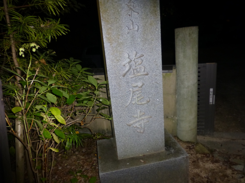 P1080889_mid.jpg