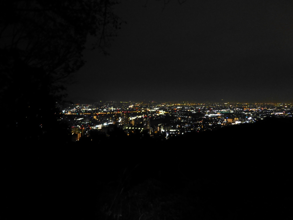 P1080890_mid.jpg