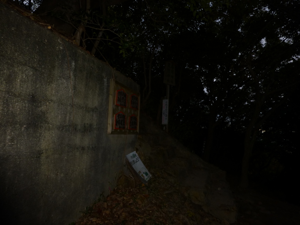 P1080909_mid.jpg