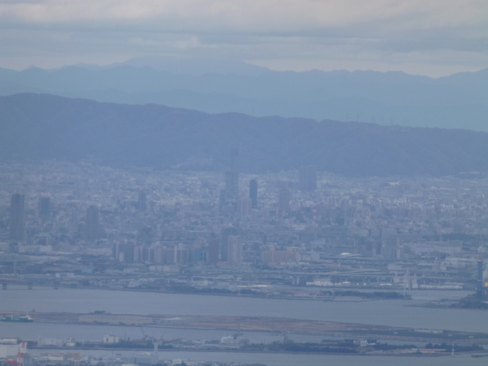 P1080952_mid.jpg