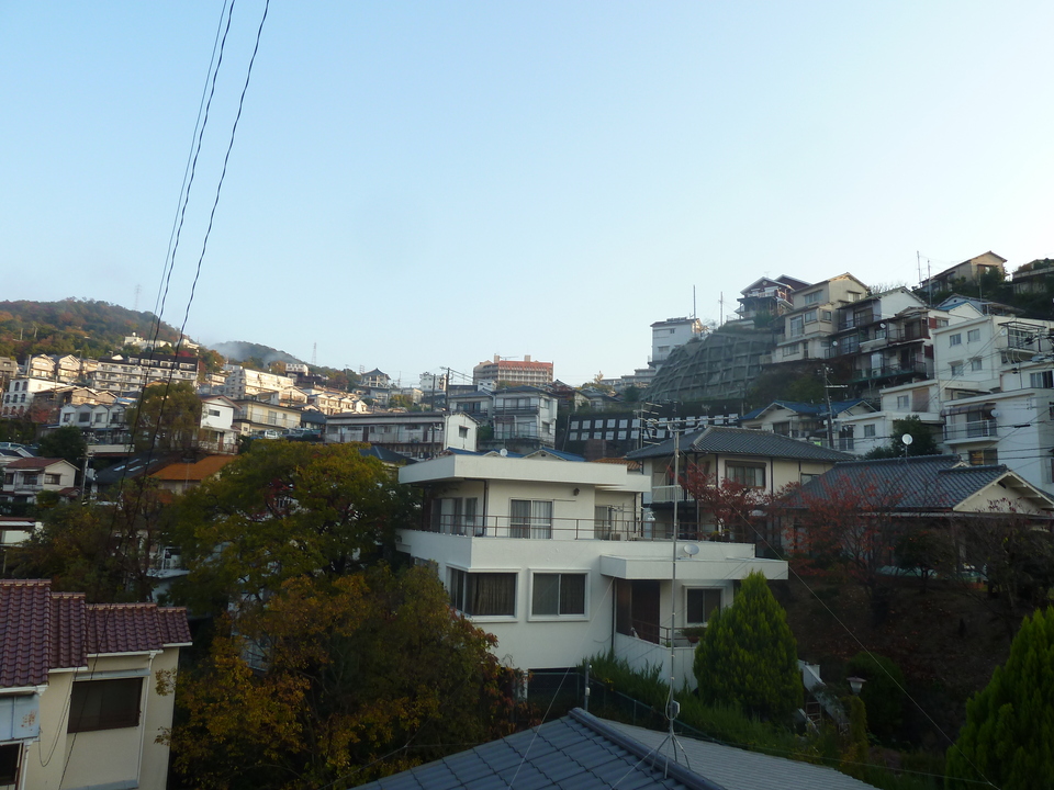 P1140691_mid.jpg