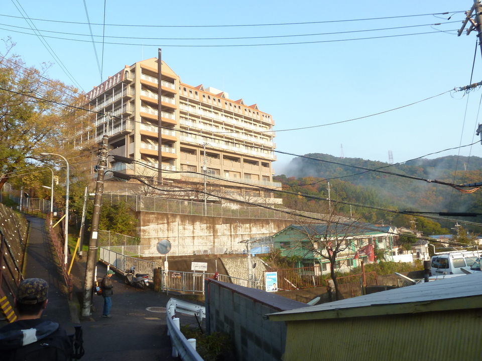 P1140694_mid.jpg