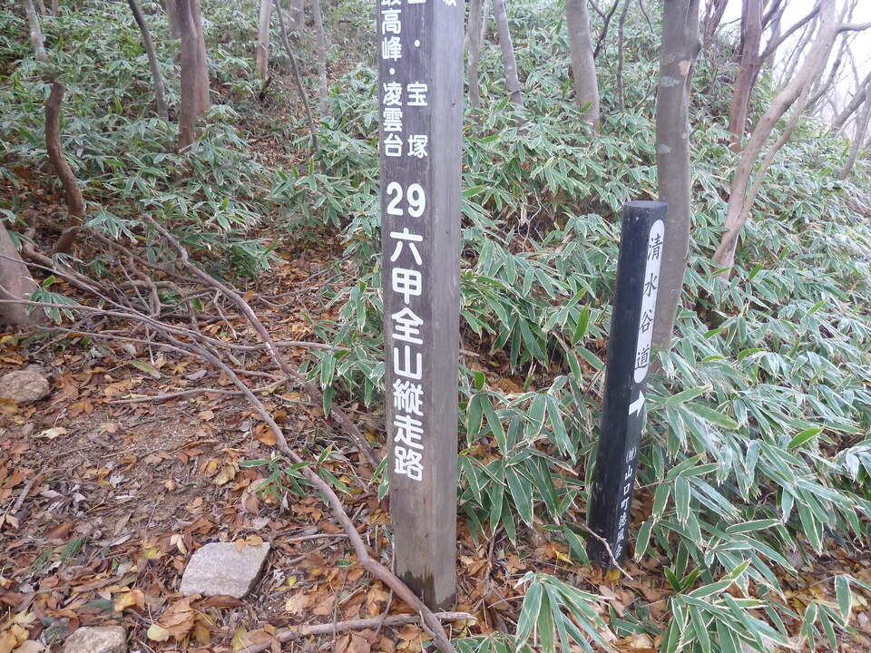 P1140733_mid.jpg