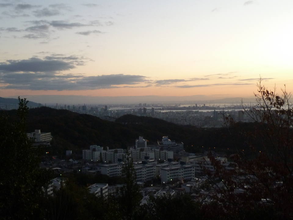 P1140774_mid.jpg