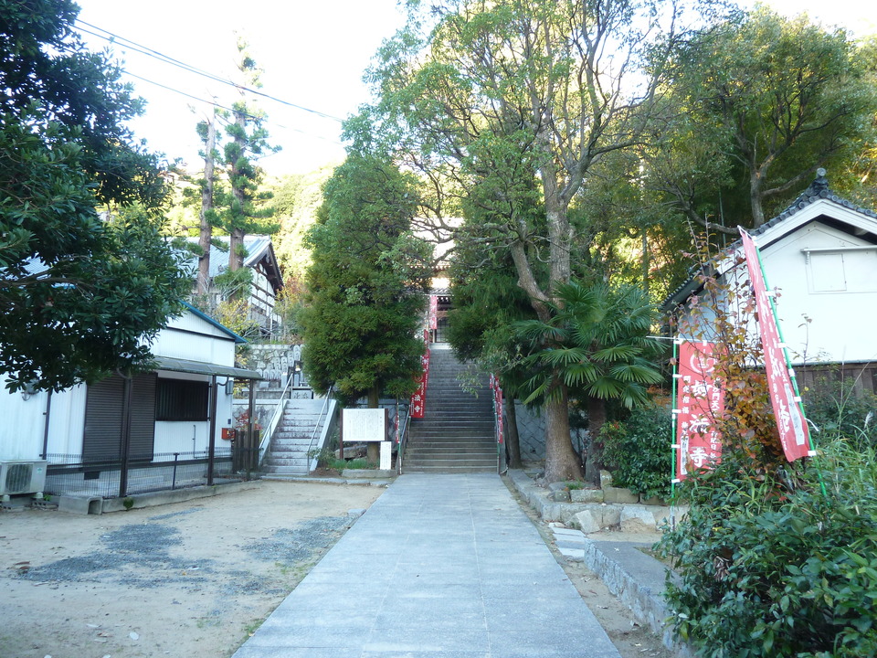 P1140821_mid.jpg