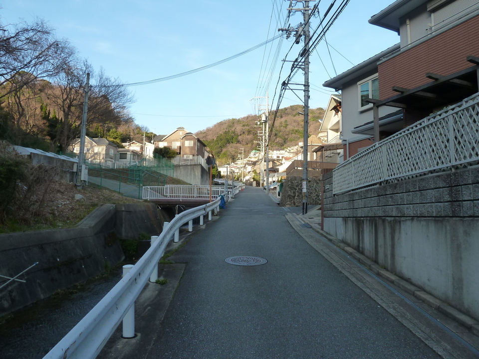 P1150305_mid.jpg