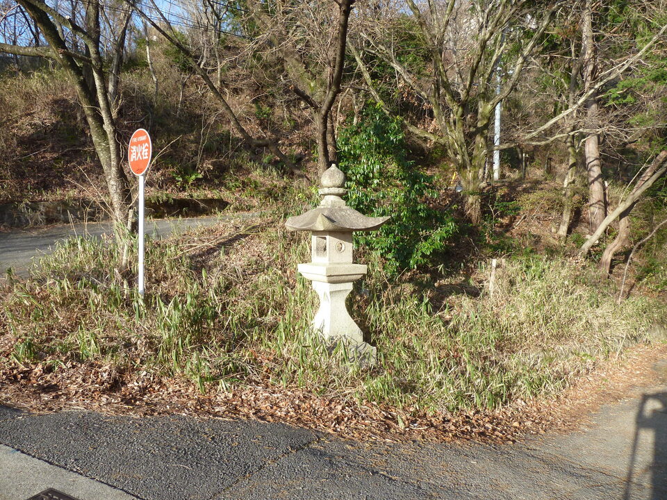 P1150308_mid.jpg