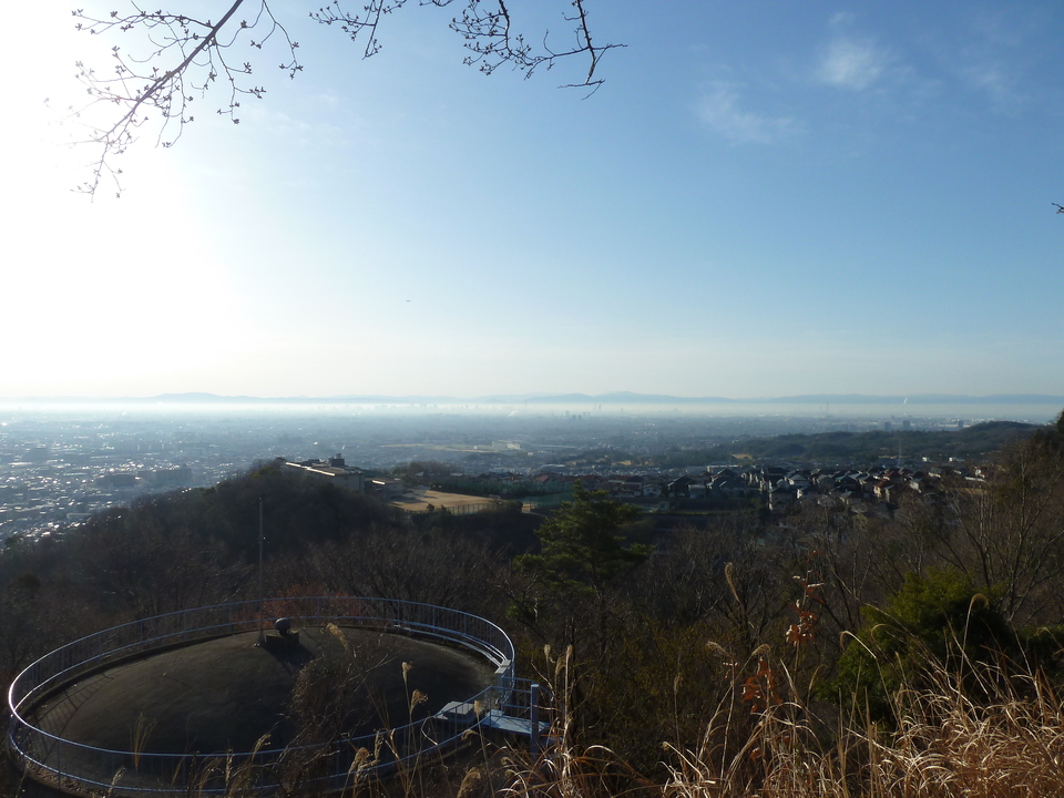 P1150310_mid.jpg