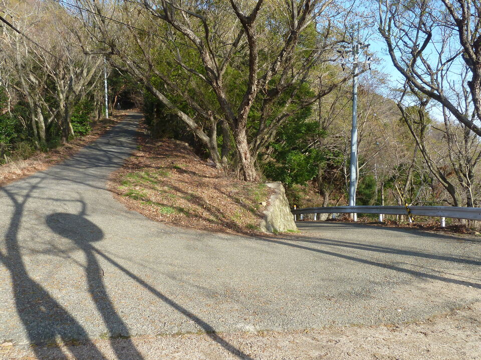 P1150315_mid.jpg