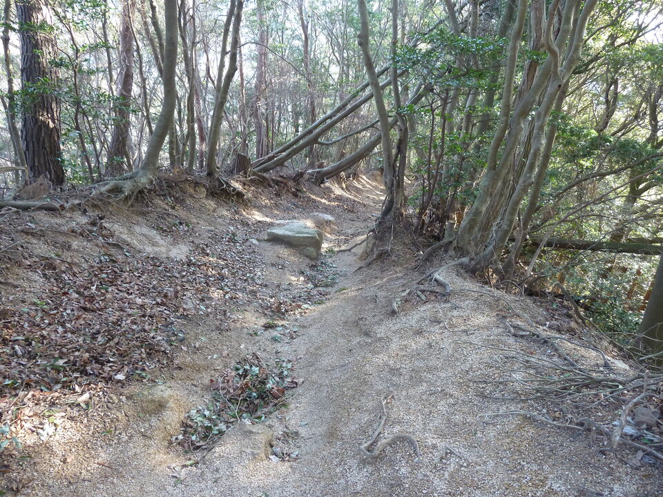 P1150321_mid.jpg
