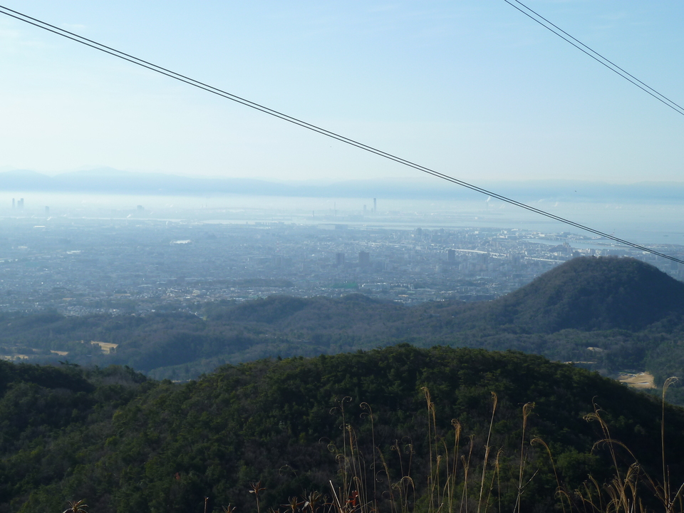 P1150323_mid.jpg