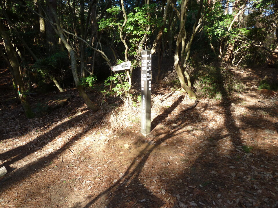 P1150327_mid.jpg