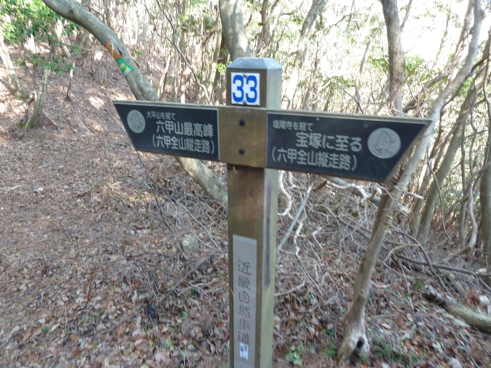 P1150329_mid.jpg